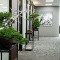 盆栽レンタル事業を展開しました