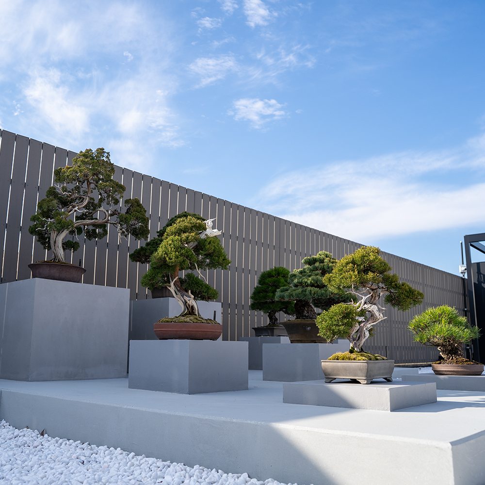 gallery 202512Artboard 1 copy