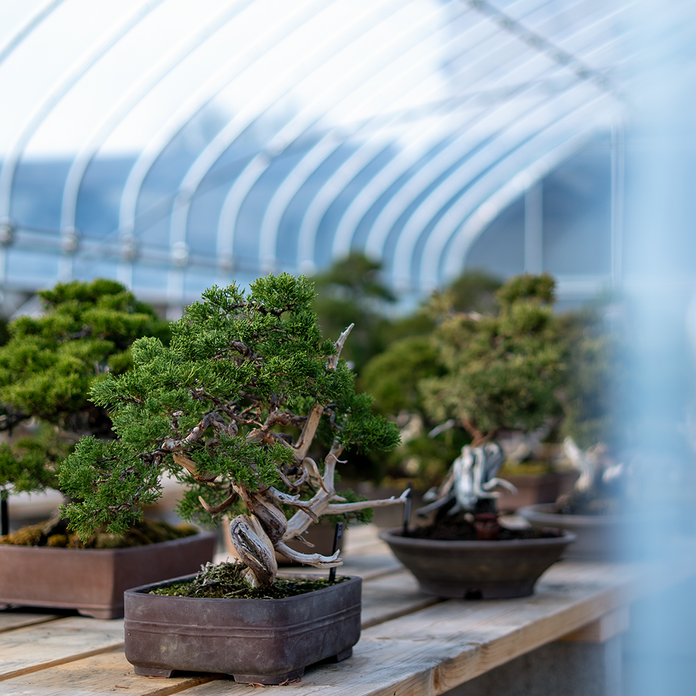 gallery 202512Artboard 2 copy