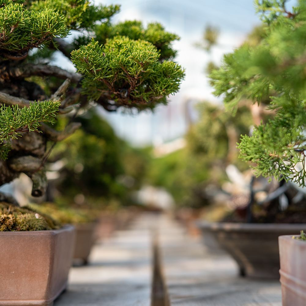 gallery 202512Artboard 2