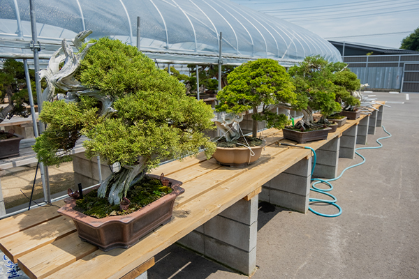 facilities page gallery屋外作業場屋外作業場2