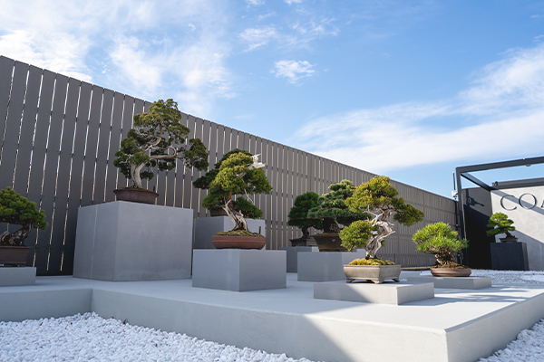 facilities page gallery展示場展示場1
