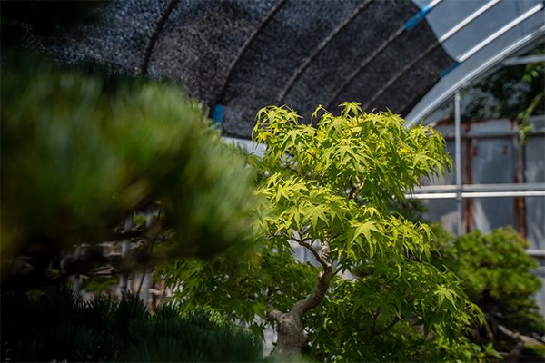 facilities page gallery温室温室5